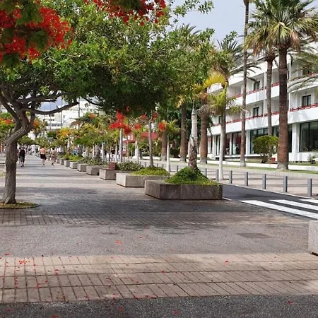 Apartment Playa De Americas-parque Santiago Ii